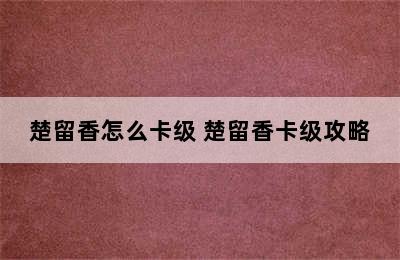 楚留香怎么卡级 楚留香卡级攻略